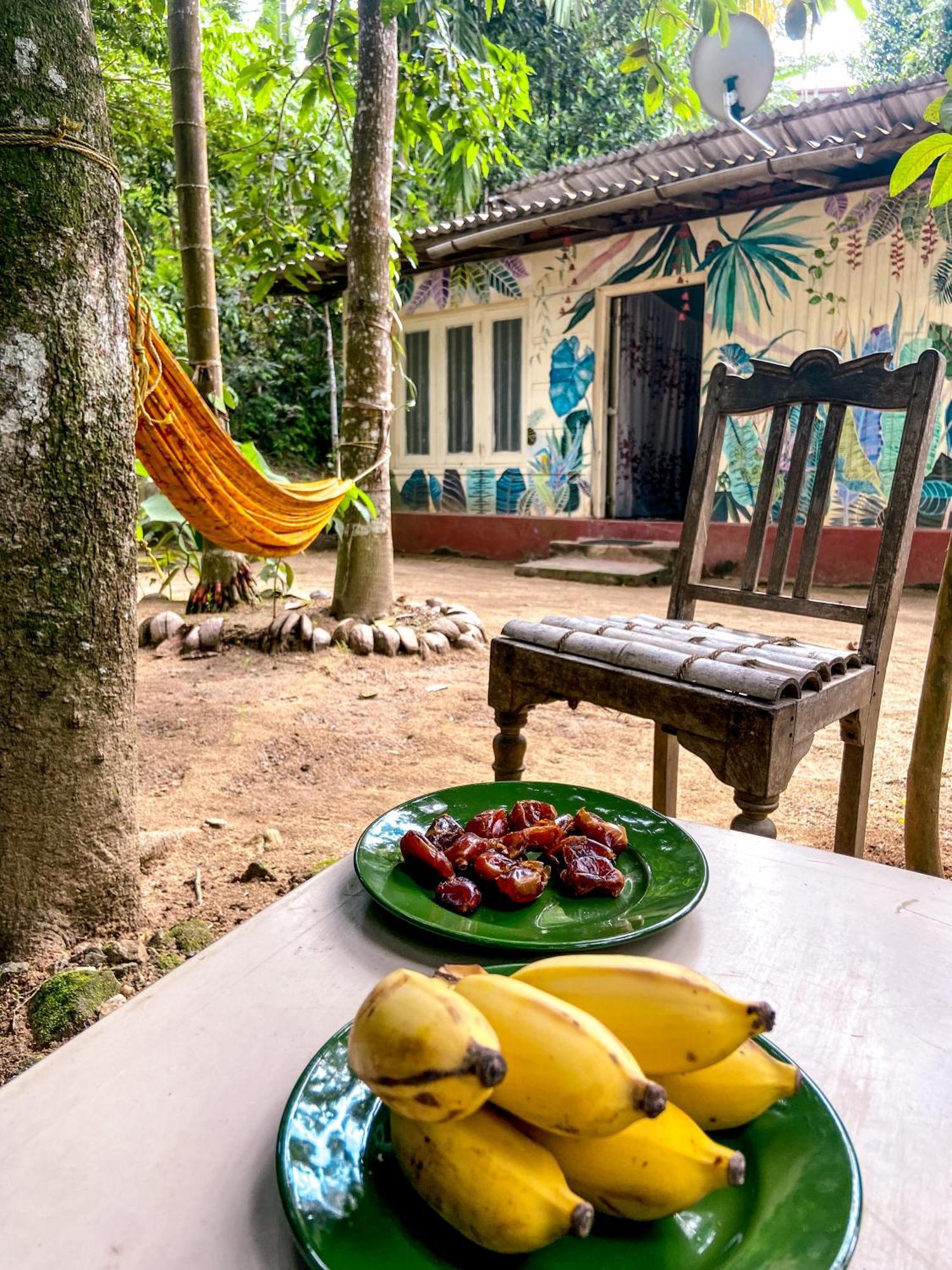 Catch The Ella Train Hostel Kandy Buitenkant foto